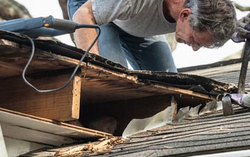 common causes of The Green fascia damage