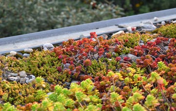 the cost of The Green green roof installation