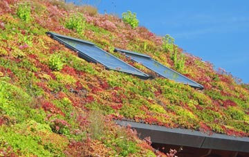 The Green living roof systems