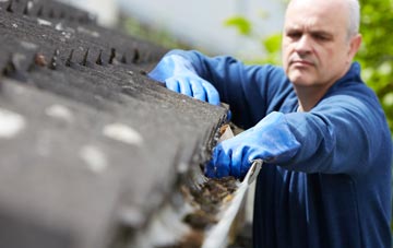 cleaning and inspecting The Green roofs