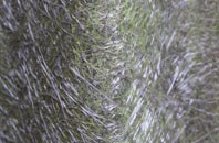 The Green fibreglass roof work