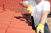 The Green roof cleaners